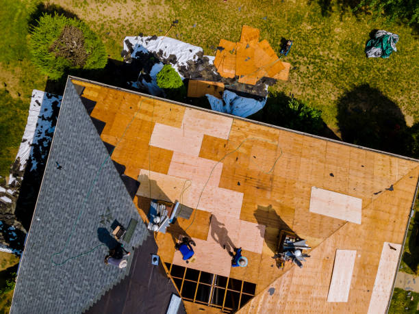 Quick and Trustworthy Emergency Roof Repair Services in Magnolia, AR
